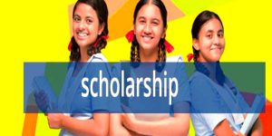 Haryana NMMS Scholarship Form