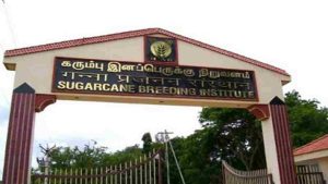 Sugarcane Breeding Institute Karnal Vacancy 2023