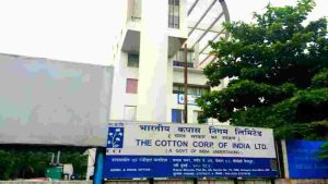 Cotton Corporation of India Vacancy 2024