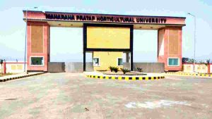 Maharana Pratap University Karnal Vacancy 2024