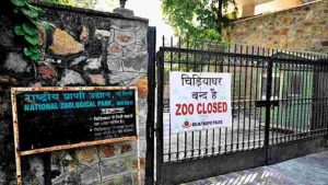 Central Zoo Authority New Delhi Vacancy 2024